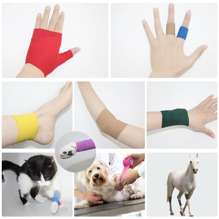 cohesive bandage (9)